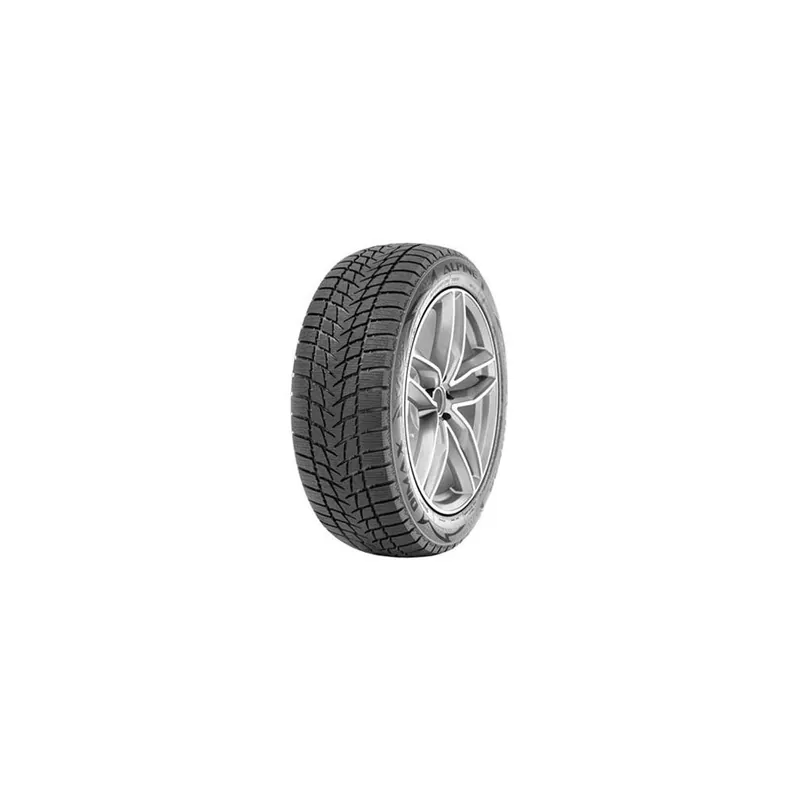 Must-Have 215/60 R16 99 H Radar Dimax Alpine
