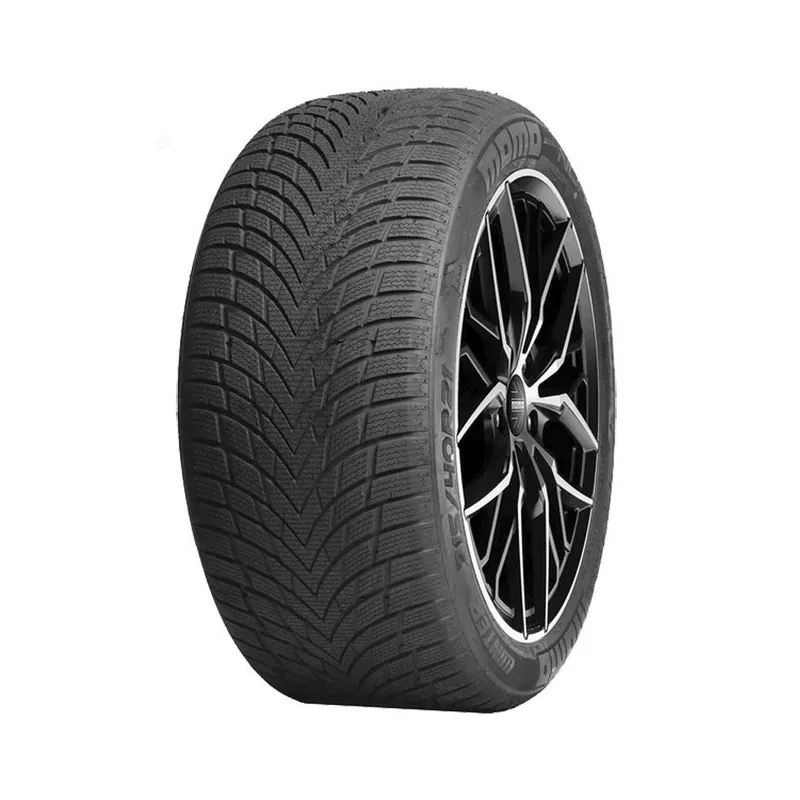 Offerta 225/55 R17 101 V Momo North Pole W-20