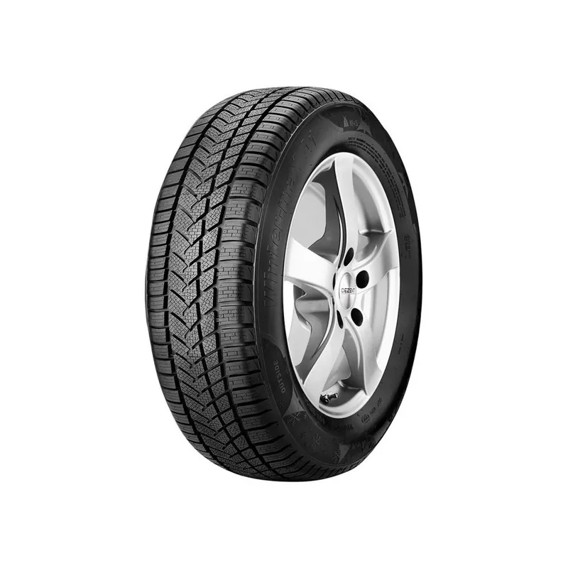205/55 R16 91 T Sunny Wintermax Nw211 Di Tendenza