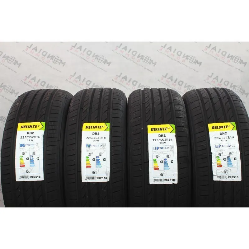 225 55 ZR16 99W DELINTE DH2 M+S Popolare