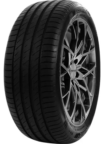 Occasione Imperdibile DELINTE 215/40 ZR18 TL 89W DELINTE DS2 XL
