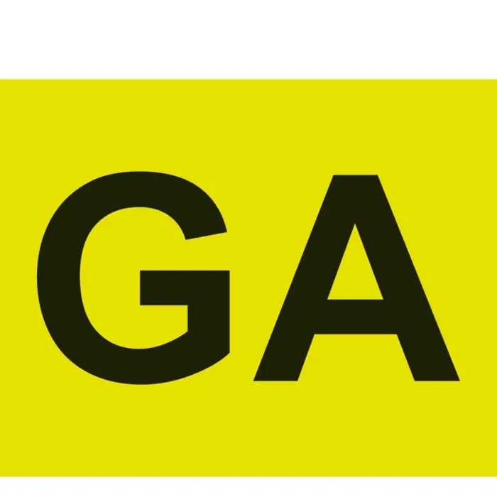 Must-Have Contrassegno Ga (guida Accompagnata) Anteriore Contrassegni Targhe E Contrassegni