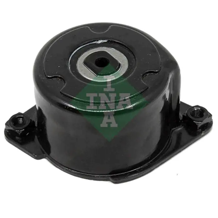 Tendicinghia Cinghia Poly-V 534 0170 10 SCHAEFFLER INA per BMW Offerta Speciale