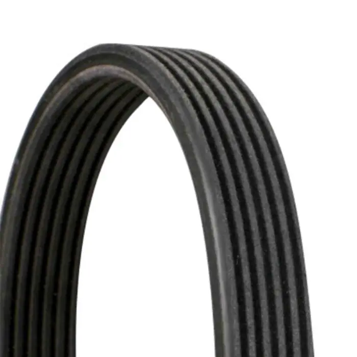 Pagamento Sicuro Cinghia Poly-V 6DPK1841 CONTINENTAL CTAM per VOLVO