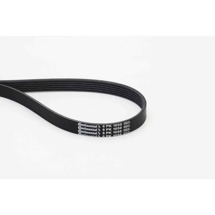 Cinghia Poly-V 6PK1050 CONTINENTAL CTAM per PEUGEOT CITROEN AUDI VW TOYOTA OPEL Ordina Subito