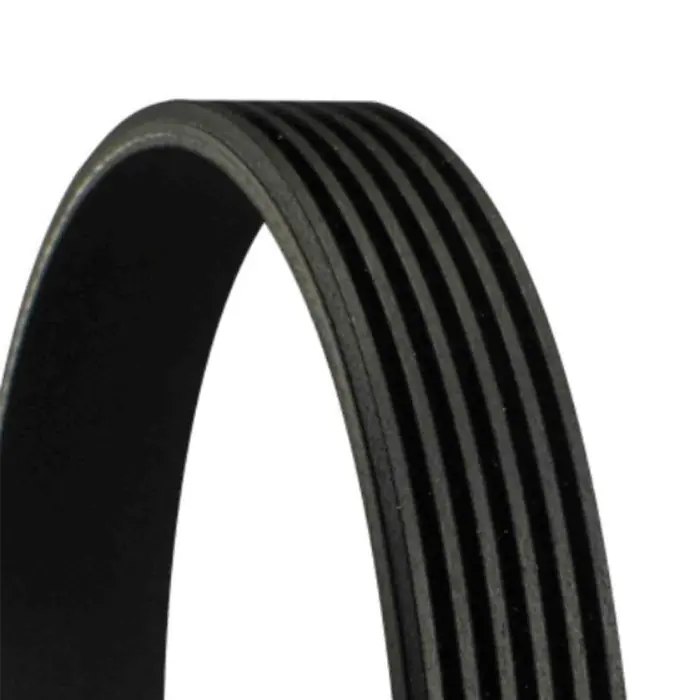 Cinghia Poly-V 6PK802 EXTRA CONTINENTAL CTAM per SMART Subito Disponibile