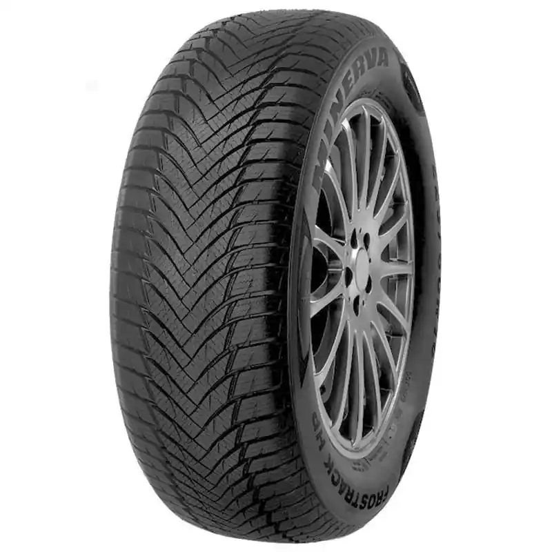 Compra Oggi Stesso MINERVA FROSTRACK HP 205/60 R16 92H TL M+S 3PMSF