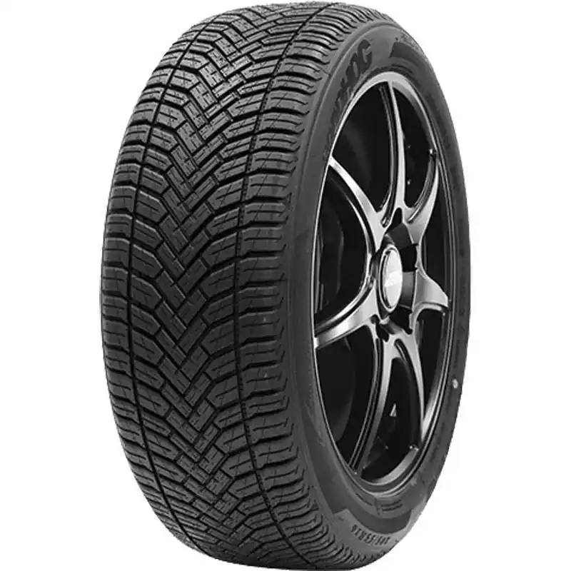 ROADHOG RG AS 02 XL 205/50 R17 93W TL M+S 3PMSF Vendita Finale