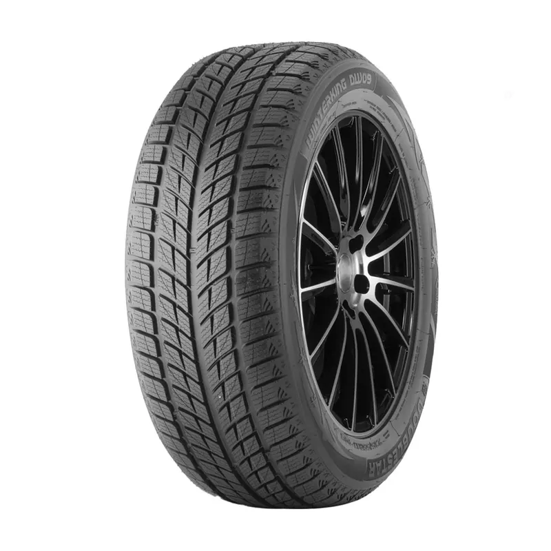 Occasione Imperdibile DOUBLE STAR WINTERKING DW09 235/55 R20 102H TL M+S 3PMSF